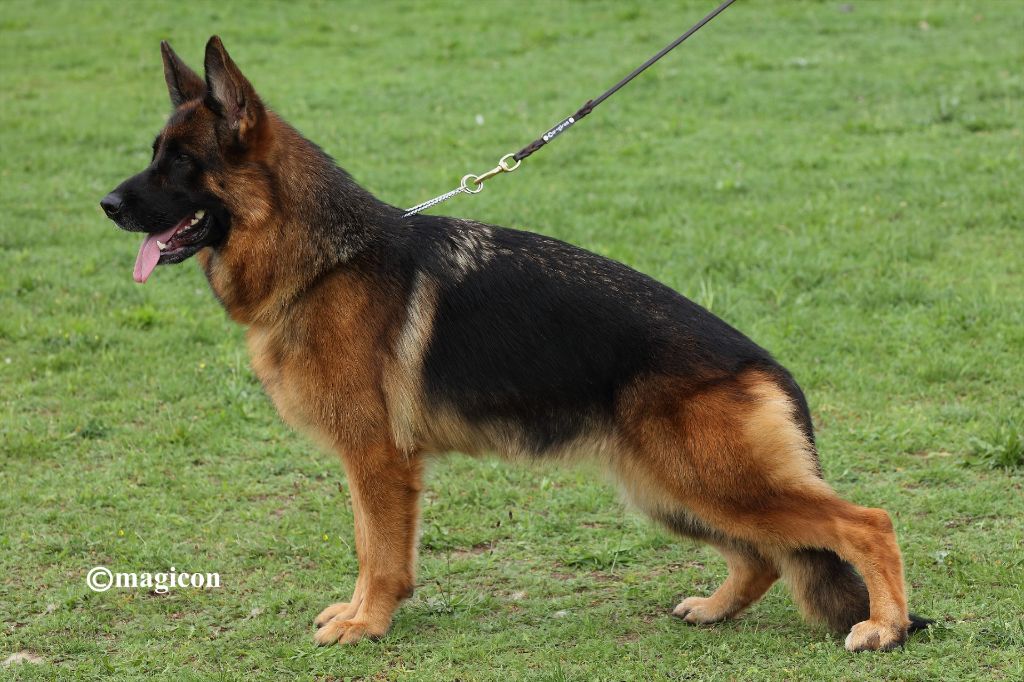 Uraya du domaine de sanctae crucis