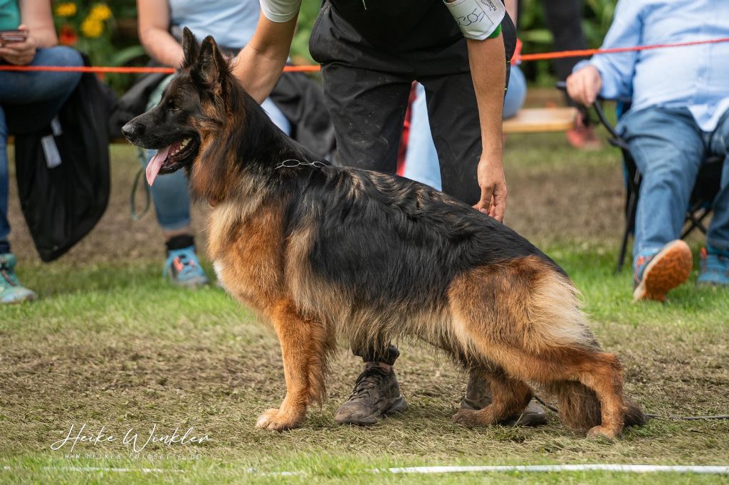 Urmel du domaine de sanctae crucis