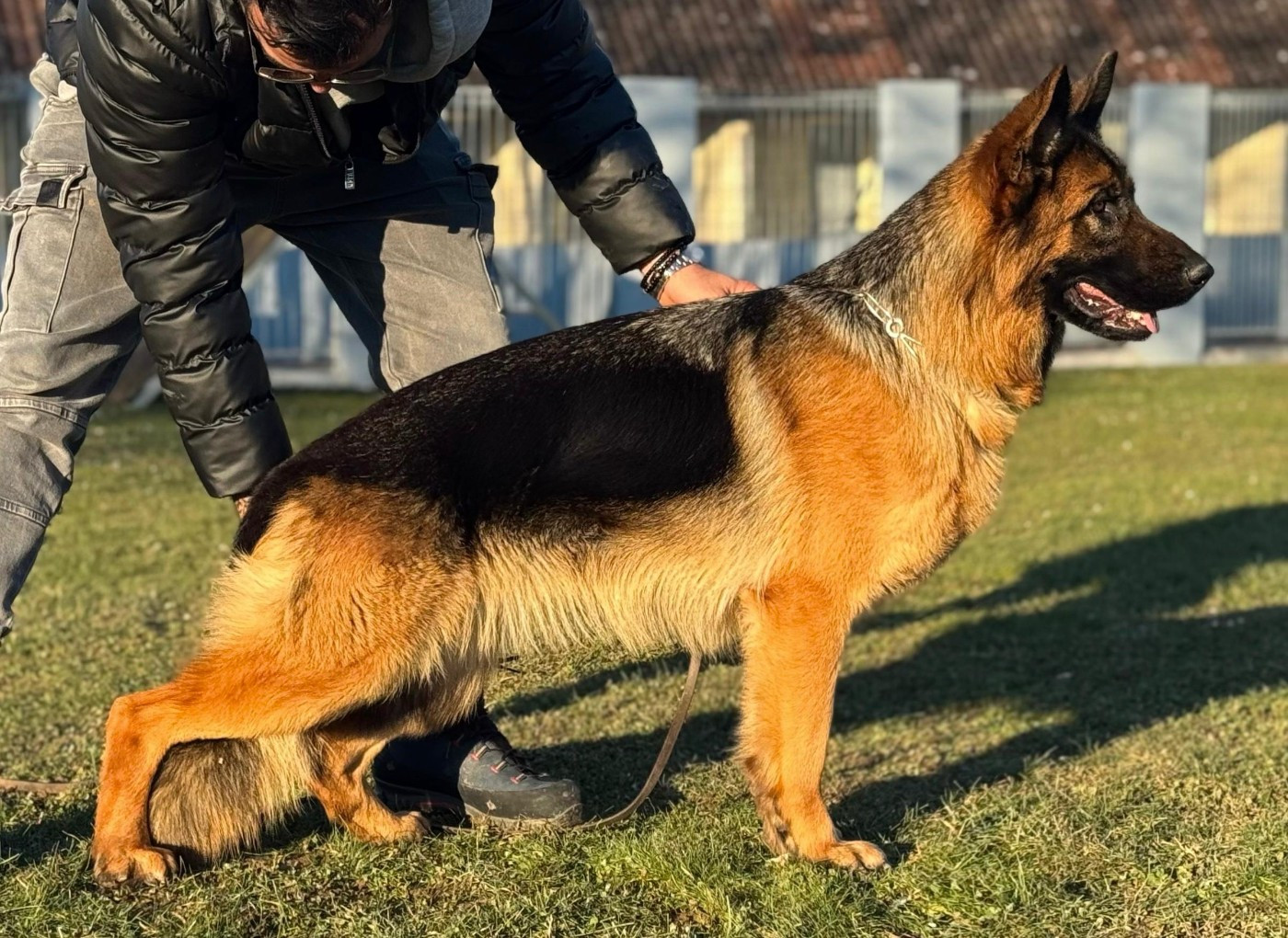 upy du domaine de sanctae crucis