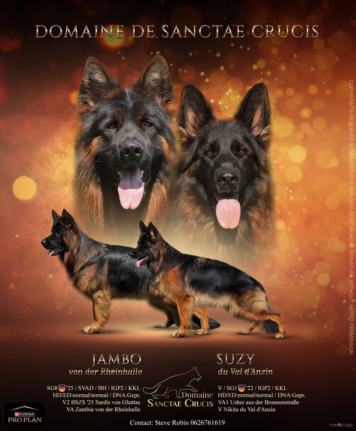 Les bébés de Suzy sont née